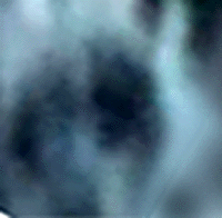 e0103408_1314574.gif