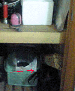 e0103408_17311123.gif