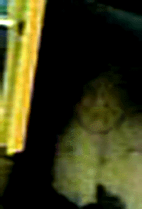 e0103408_652994.gif
