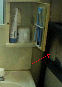 e0103408_72456.gif