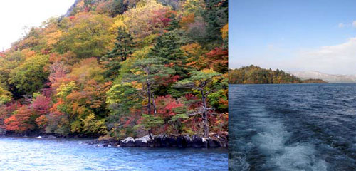 f0143412_1444235.jpg