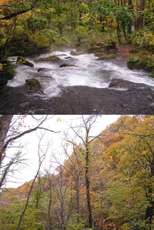 f0143412_14443973.jpg