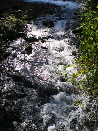 e0117613_12514118.jpg