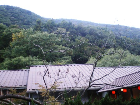 e0117613_1253216.jpg