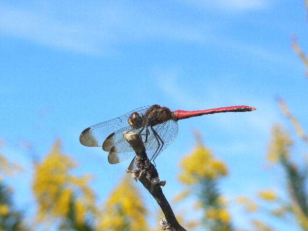 e0002314_23121236.jpg