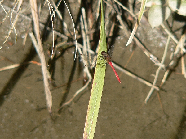 e0002314_23122537.jpg