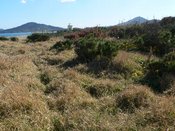 e0002314_2384519.jpg