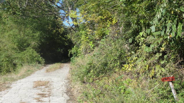 f0233414_22394147.jpg