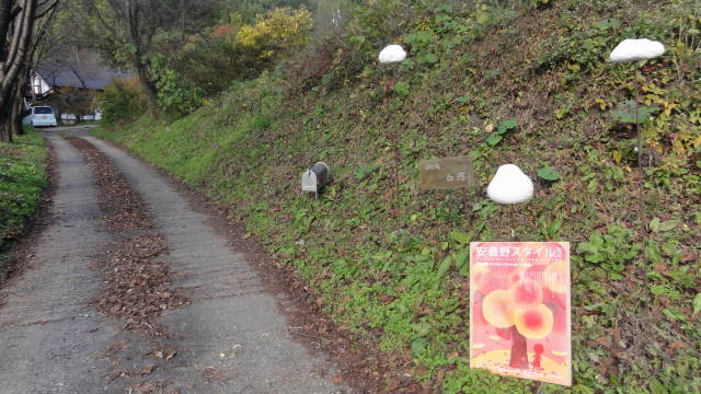 f0233414_2385166.jpg