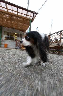b0072515_2314375.jpg