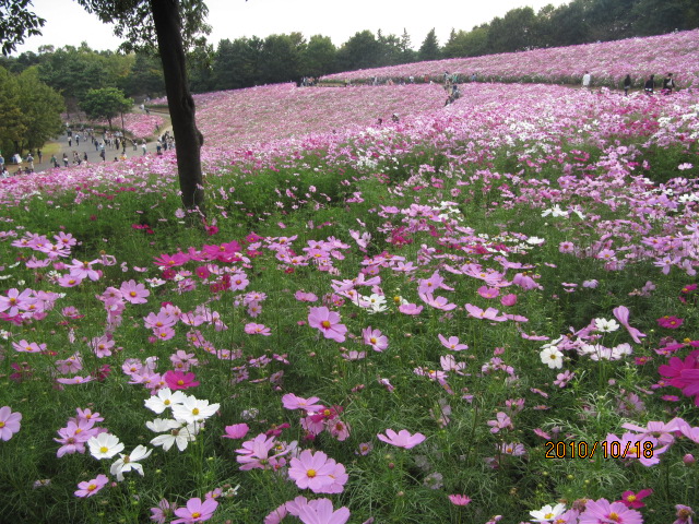 c0200916_21242617.jpg