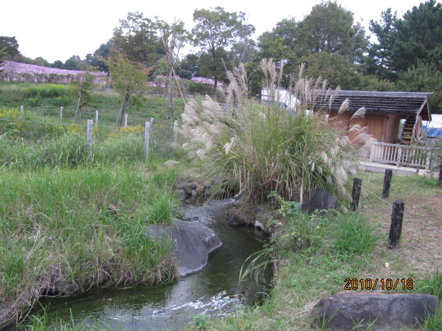 c0200916_2134088.jpg