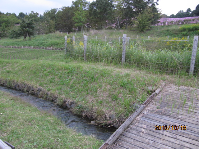 c0200916_21343420.jpg