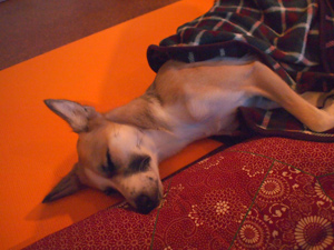 c0012120_0342960.jpg