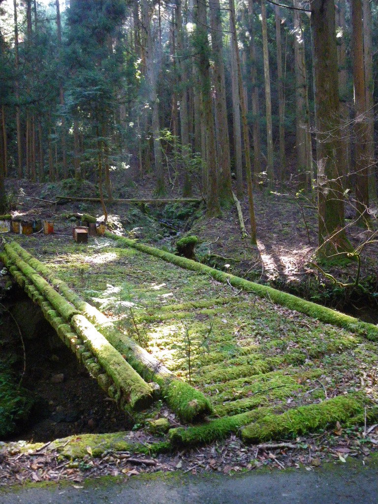 c0189724_18233749.jpg