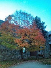 f0022024_20421919.jpg