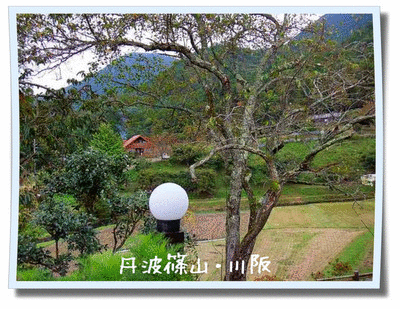 a0151727_1717898.gif