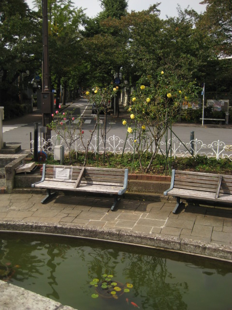 d0147727_2014993.jpg