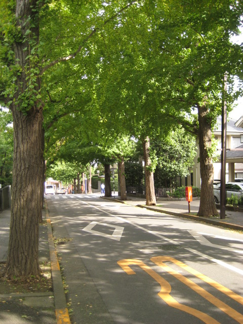 d0147727_21285970.jpg