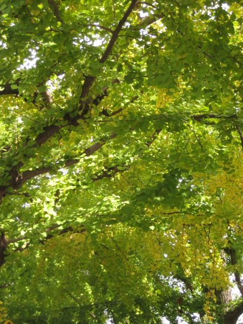d0147727_21292258.jpg