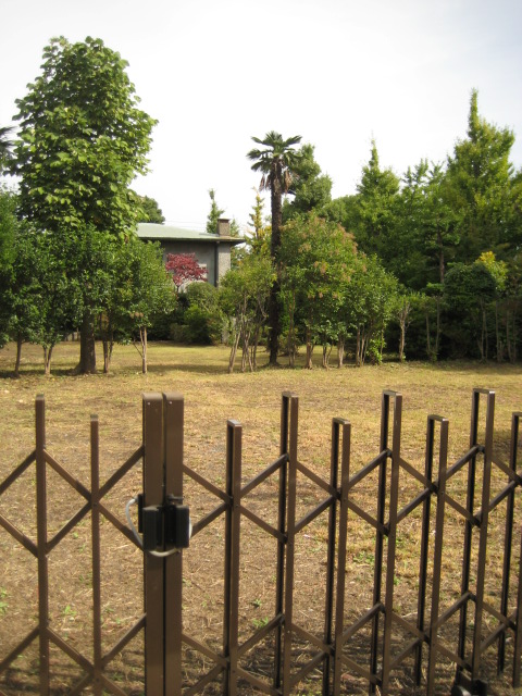 d0147727_21294512.jpg