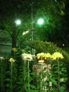 c0180341_692041.jpg
