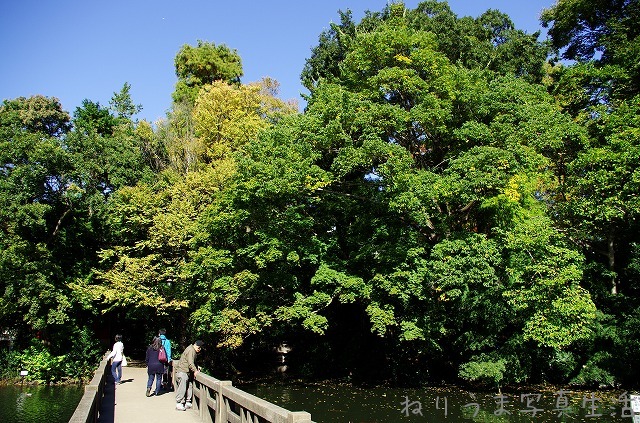 a0009142_13215497.jpg
