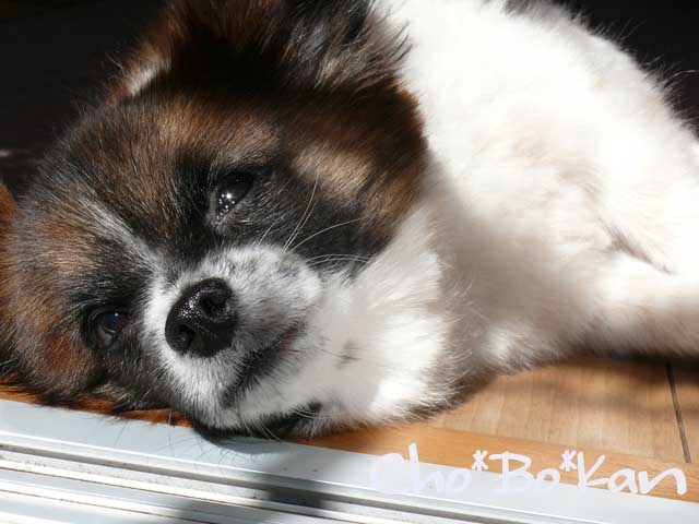 a0157646_21205924.jpg