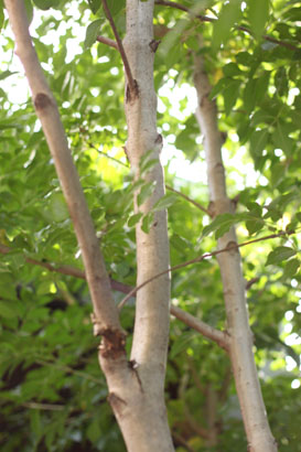 f0210048_22471625.jpg