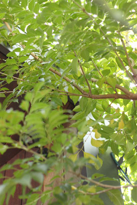 f0210048_2332145.jpg