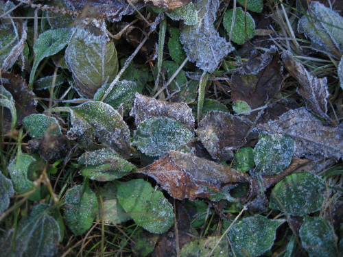 c0179351_22201516.jpg