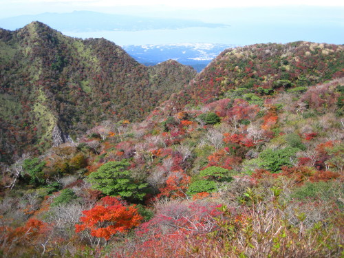 c0179351_22213935.jpg