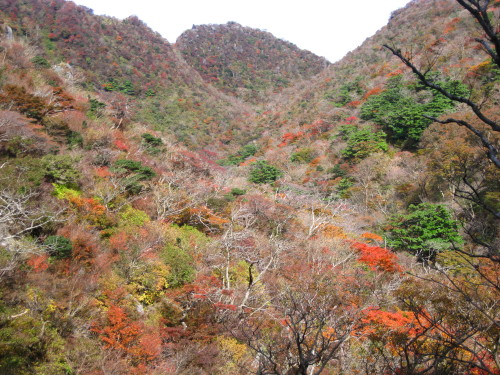 c0179351_22225744.jpg
