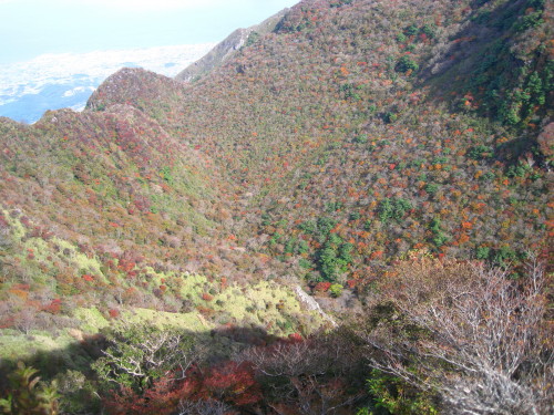 c0179351_22252354.jpg