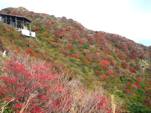 c0179351_2229508.jpg
