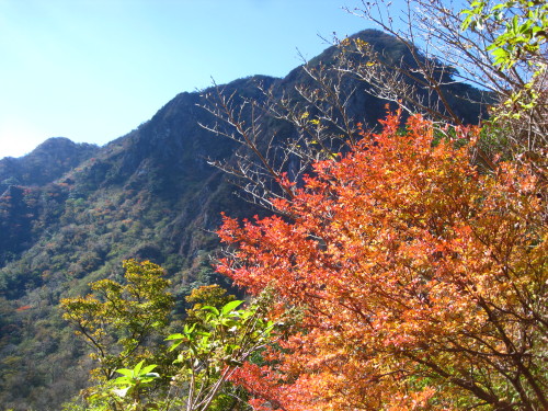c0179351_223533.jpg