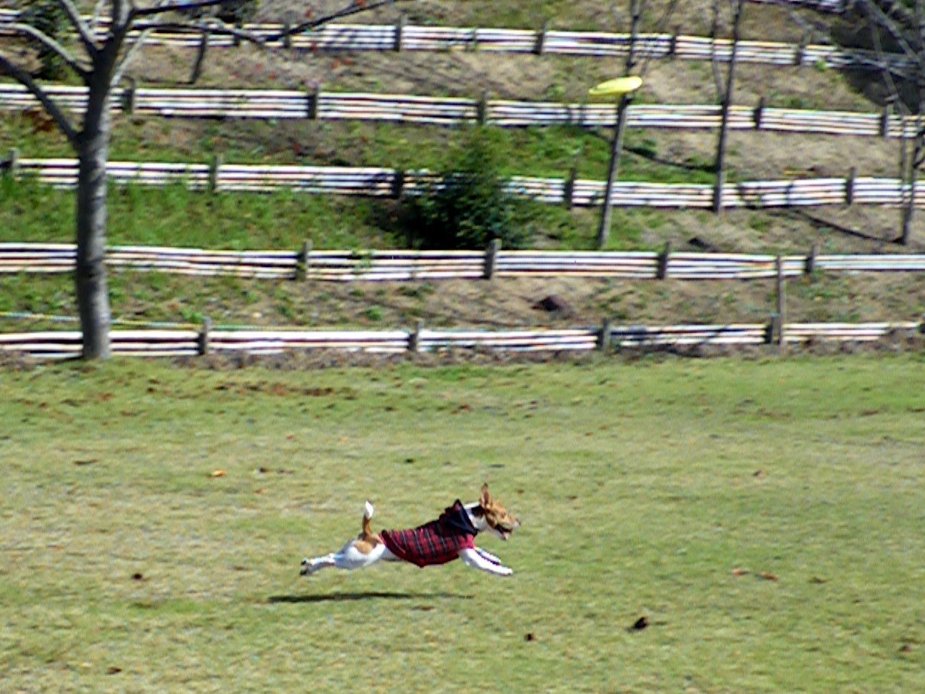 d0146153_16545039.jpg