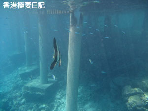 f0190653_12541423.jpg
