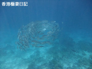 f0190653_12542271.jpg