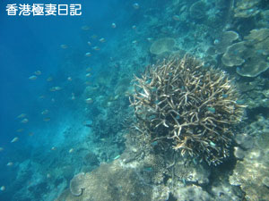 f0190653_1254255.jpg