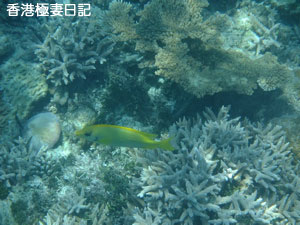 f0190653_1254282.jpg