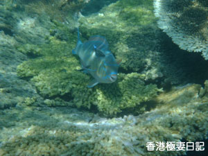 f0190653_12544193.jpg