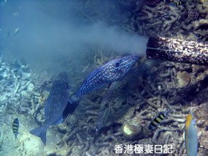 f0190653_12544567.jpg
