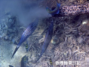 f0190653_12544882.jpg