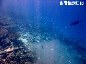 f0190653_12545243.jpg