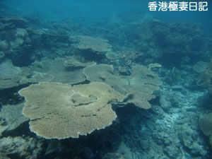 f0190653_1254526.jpg