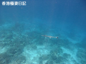 f0190653_1254817.jpg