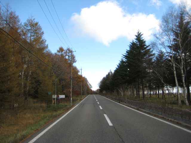 f0191656_2054628.jpg