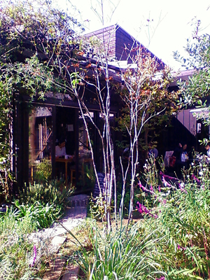f0176458_19261847.jpg