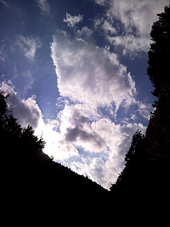 a0157160_20592596.jpg